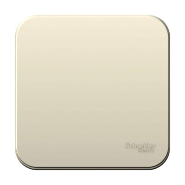 Выключатель 1-кл. ОП Blanca 10А IP20 (сх. 1) 250В с изолир. пластиной молочн. SE BLNVA101012 (1210499)