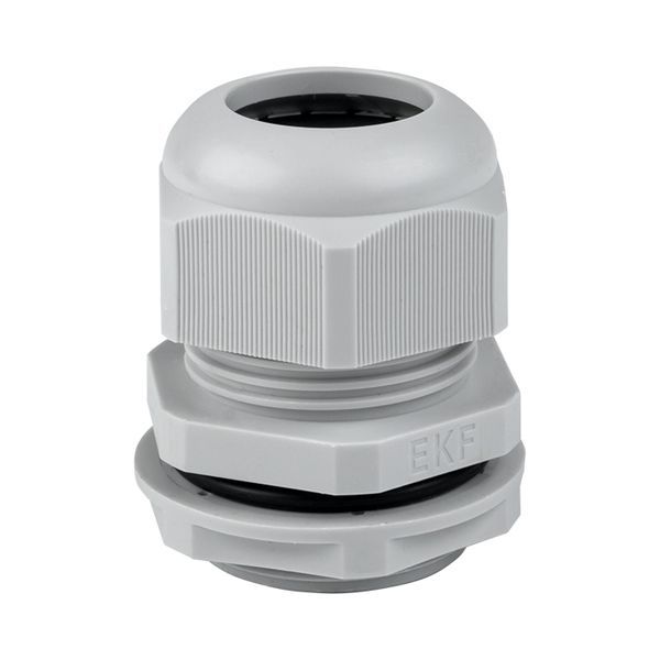 Сальник PG25 d16-21мм (d отверст. 31мм) IP54 PROxima EKF plc-pg-25-r (1439458)